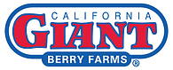 cg-logo.png