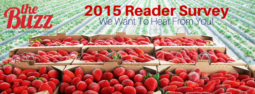 2015_Reader_Survey_Landing_Page_Header